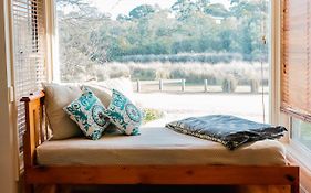 Anglesea Rivergums